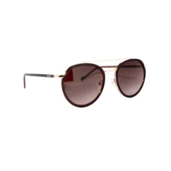 No Logo Eyewear - NOL09954 Sun - Dark Brown Transparent and Glossy Gold - Sunglasses - Avvenice