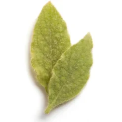 Nu Skin - Epoch Blemish Treatment - 15 ml - Body Spa - Beauty - Professional Spa Equipment - Avvenice