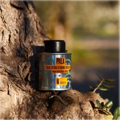 Oleificio Guccione - Pala - Sicilian Extra Virgin Olive Oil - Italian - High Quality - 100 ml - Avvenice