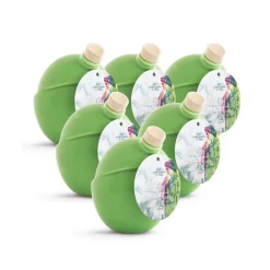 Olio le Donne del Notaio - Donna dei Ferri - Ceramic - Extra Virgin Olive Oil - Artisan - Italian High Quality - 6 x 500 ml - Avvenice