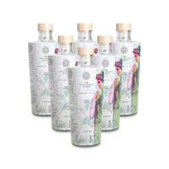 Olio le Donne del Notaio - Donna dei Ferri - Glass Bottle - Extra Virgin Olive Oil - Artisan - Italian Quality - 6 x 200 ml - Avvenice