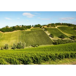 Palazzo di Varignana - Evasioni di Gusto - Aurevo - 2 Days 1 Night - Crystal Pool - Varsana SPA - Italy - Exclusive Luxury - Avvenice