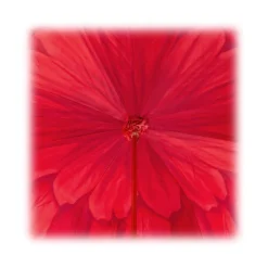 Pasotti Ombrelli 1956 - 189 21065-21 A - Red Petal Umbrella - Luxury Artisan High Quality Umbrella - Avvenice