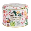 Pasticceria Fraccaro - Ancient Panettone - Tin Line - Artisan Panettone - Fraccaro Spumadoro - Avvenice