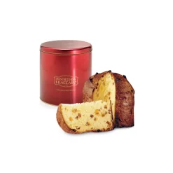 Pasticceria Fraccaro - Classic Panettone - Tin Line - Artisan Panettone - Fraccaro Spumadoro - Avvenice