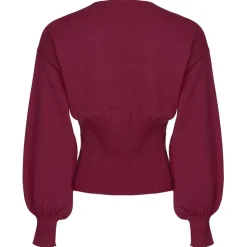 Pinko - Wool Blouse with Gold Detail - Bordeaux - Shirts - Made in Italy - Luxury Exclusive Collection - Avvenice