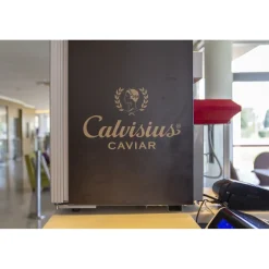 Pisa Tower Plaza - Exclusive Pisa - Pisa Tower View - 5 Stars - 2 Days 1 Night - Avvenice