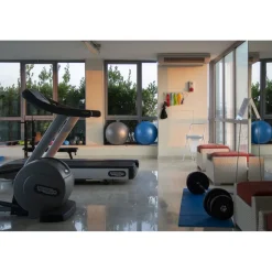 Pisa Tower Plaza - Exclusive Pisa - Pisa Tower View - 5 Stars - 2 Days 1 Night - Avvenice