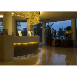 Pisa Tower Plaza - Exclusive Pisa - Pisa Tower View - 5 Stars - 2 Days 1 Night - Avvenice