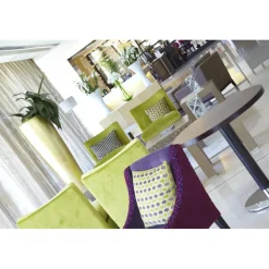 Pisa Tower Plaza - Exclusive Pisa - Pisa Tower View - 5 Stars - 5 Days 4 Nights - Avvenice