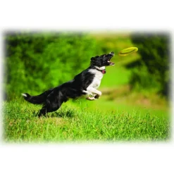 Polaroid - Polaroid Cube Lifestyle Action Camera - Full HD 1080p - Action Sports Cameras - Black - Avvenice