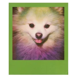 Polaroid Originals - Tripe Pack Film for 600 Rainbow - Color Frame - Film for Polaroid Originals 600 Cameras - OneStep 2 - Avvenice