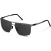 Porsche Design - P´8610 Sunglasses - Titanium - Porsche Design Eyewear - Avvenice