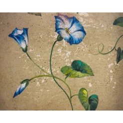 Porte Italia Interiors - Cabinet - Painted Venetian Cabinet - Avvenice