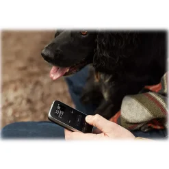 Pure - Move R3 - Black - Lightweight Rechargeable Personal Stereo DAB+ / FM Radio - High Quality Digital Radio - Avvenice