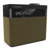 Pure - Pop Maxi S - Gold - Stereo DAB Digital and FM Radio with Bluetooth - High Quality Digital Radio - Avvenice