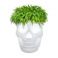 Qeeboo - Mexico Planter and Champagne Cooler Lamp with Rechargeable Led - Translucent - Qeeboo Planter by Studio Job - Avvenice