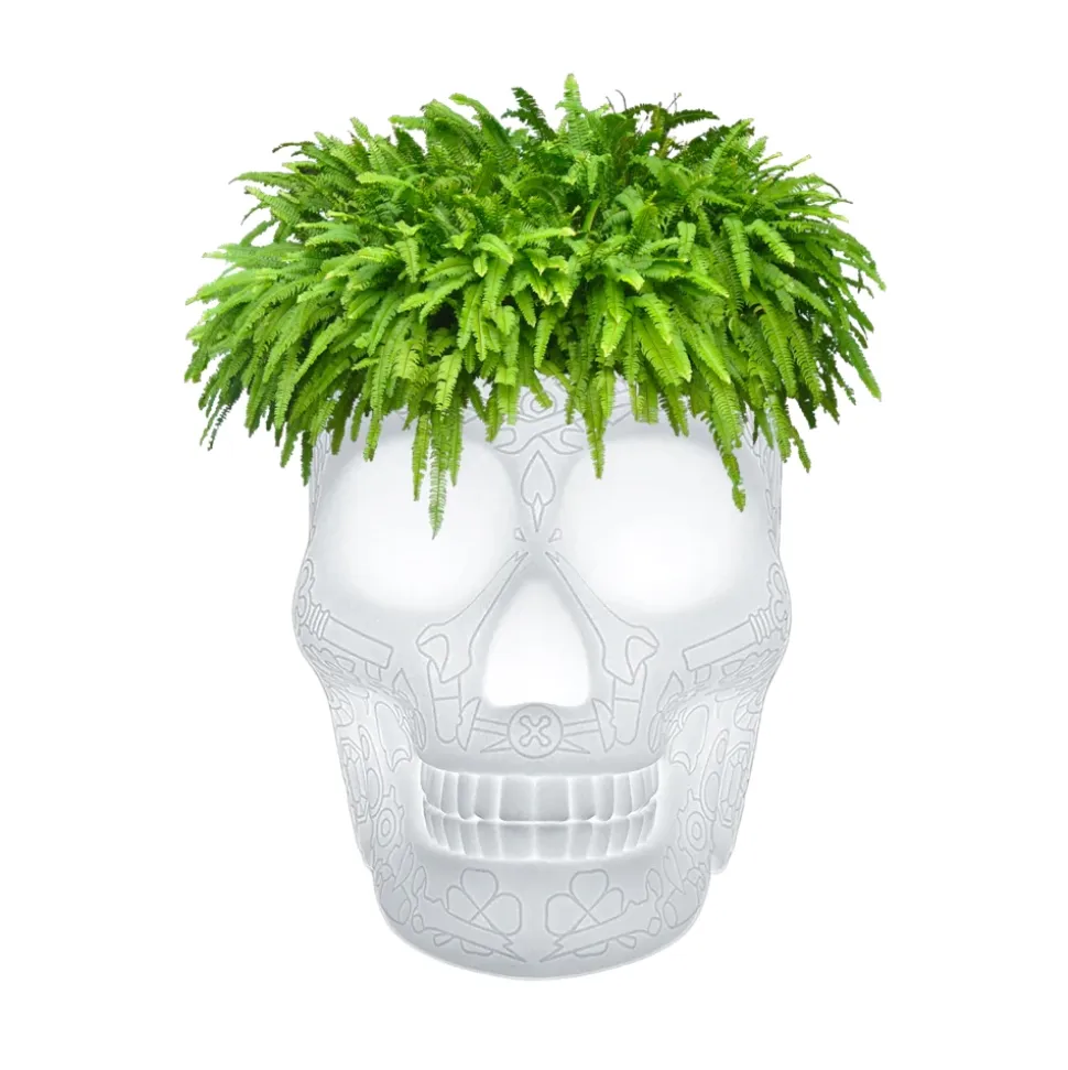 Qeeboo - Mexico Planter and Champagne Cooler Lamp with Rechargeable Led - Translucent - Qeeboo Planter by Studio Job - Avvenice