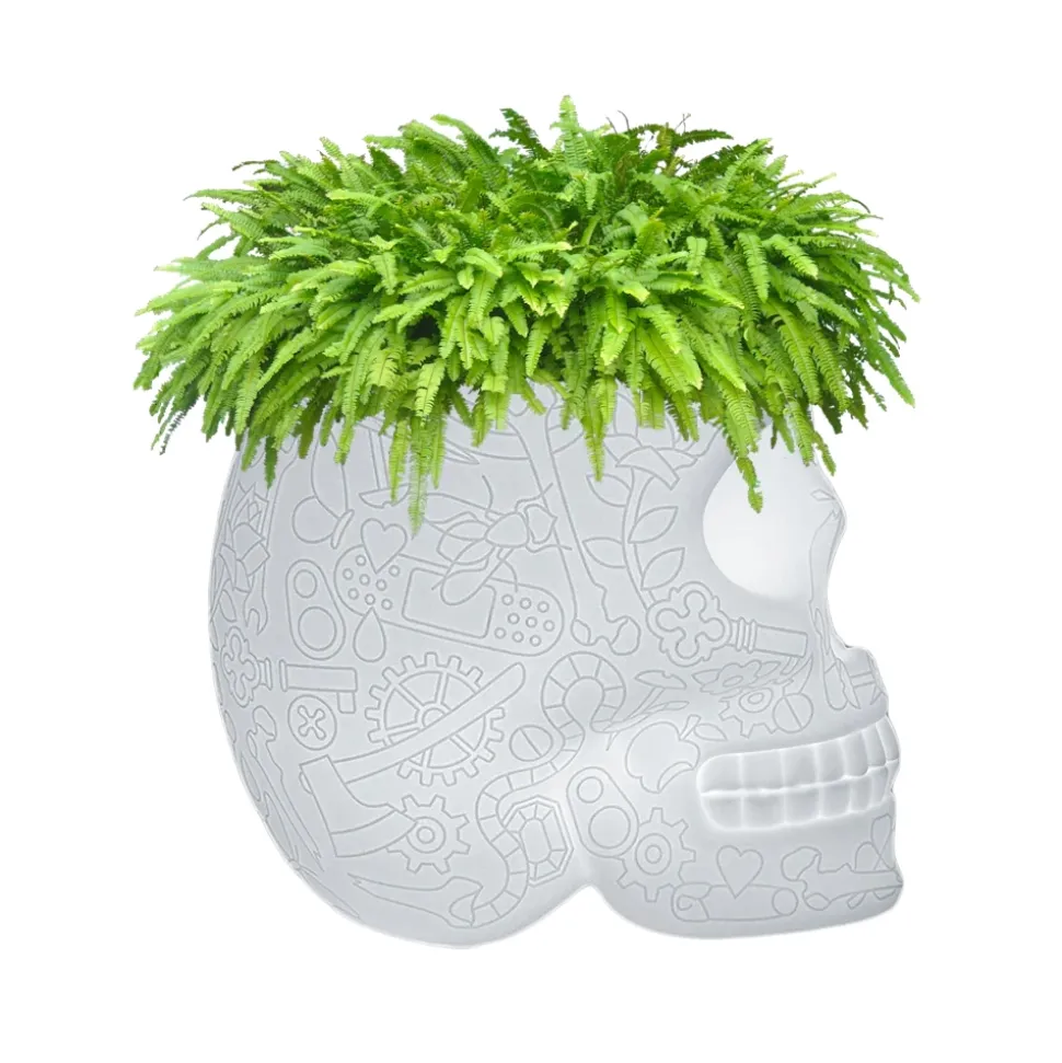 Qeeboo - Mexico Planter and Champagne Cooler Lamp with Rechargeable Led - Translucent - Qeeboo Planter by Studio Job - Avvenice