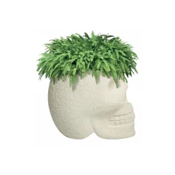 Qeeboo - Mexico Planter and Champagne Cooler - Ivory - Qeeboo by Studio Job - Furniture - Home - Avvenice