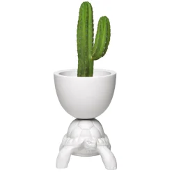 Qeeboo - Turtle Carry Planter and Champagne Cooler - White - Qeeboo Planter by Marcantonio - Furnishing - Home - Avvenice