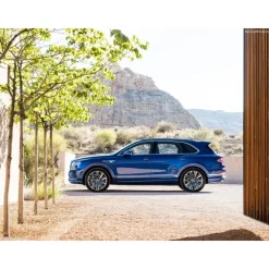 Rent Luxe Car - Bentley Bentayga - Exclusive Luxury Rent - Avvenice