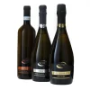 Riccardo - Prosecco 6 Bottles Mixed D.O.C. - D.O.C.G. - Avvenice