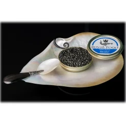 Royal Food Caviar - Reale - Oscetra Caviar - Russian Sturgeon - 500 g - Avvenice
