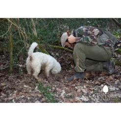 Savini Tartufi - Truffle Discovery - Truffle Experience - Guided Tour, Truffle Hunt and Tasting - Daily - Avvenice