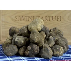Savini Tartufi - Truffle Discovery - Truffle Experience - Guided Tour, Truffle Hunt and Tasting - Daily - Avvenice