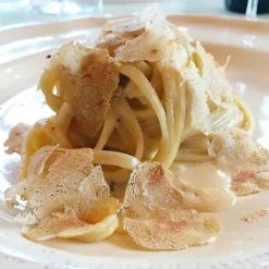 Savini Tartufi - Truffle Discovery - Truffle Experience - Guided Tour, Truffle Hunt and Tasting - Daily - Avvenice