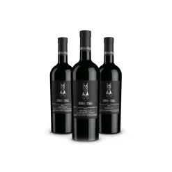 Scuderia Italia - Pack of 3 Collectible Bottles  - Italy - Red Wines - Luxury Limited Edition - Avvenice