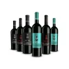 Scuderia Italia - Pack of 6 Bottles of Venetian Wines - Italy - Red Wines - Luxury Limited Edition - Avvenice