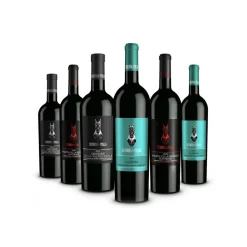 Scuderia Italia - Pack of 6 Bottles of Venetian Wines - Italy - Red Wines - Luxury Limited Edition - Avvenice
