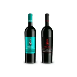 Scuderia Italia - Pack of 2 Valpolicella Ripasso and Lugana Bottles - Italy - Red Wines - Luxury Limited Edition - Avvenice