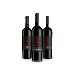 Scuderia Italia - Pack of 3 Chianti Riserva D.O.C.G. Bottles  - Italy - Red Wines - Luxury Limited Edition - Avvenice