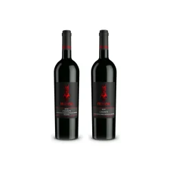 Scuderia Italia - Pack of 2 Chianti and Chianti Riserva Bottles - Italy - Red Wines - Luxury Limited Edition - Avvenice