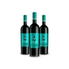 Scuderia Italia - Pack of 3 Lugana D.O.C. Bottles  - Italy - Red Wines - Luxury Limited Edition - Avvenice