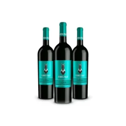 Scuderia Italia - Pack of 3 Lugana D.O.C. Bottles  - Italy - Red Wines - Luxury Limited Edition - Avvenice