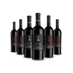 Scuderia Italia - Pack of 6 Bottles of Tuscan Wines - Italy - Red Wines - Luxury Limited Edition - Avvenice