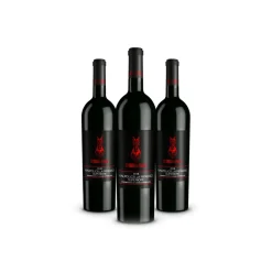 Scuderia Italia - Pack of 3 Valpolicella Ripasso Superiore D.O.C. Bottles  - Italy - Red Wines - Luxury Limited Edition - Avvenice