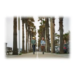 Segway - Ninebot by Segway - KickScooter E22E - Electric Scooter - Electric Wheels - Avvenice