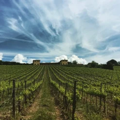 Tenuta l'Impostino - Maremma - 4 Days 3 Nights - Avvenice