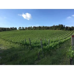 Tenuta l'Impostino - Taste and Tradition - 3 Days 2 Nights - Avvenice