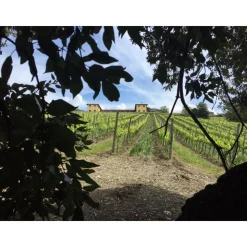 Tenuta l'Impostino - Taste and Tradition - 3 Days 2 Nights - Avvenice