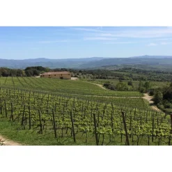 Tenuta l'Impostino - Taste and Tradition - 3 Days 2 Nights - Avvenice