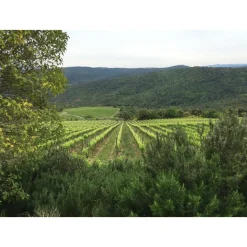 Tenuta l'Impostino - Wine Lover - 3 Days 2 Nights - Avvenice