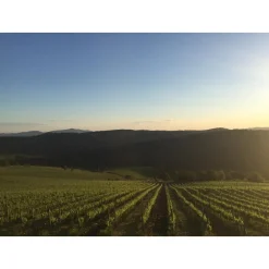 Tenuta l'Impostino - Wine Lover - 4 Days 3 Nights - Avvenice