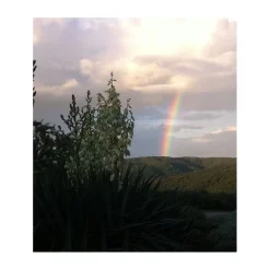 Tenuta l'Impostino - Wine Lover - 4 Days 3 Nights - Avvenice