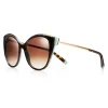 Tiffany & Co. - Cat Eye Sunglasses - Tortoise Blue - Tiffany T Collection - Tiffany & Co. Eyewear - Avvenice